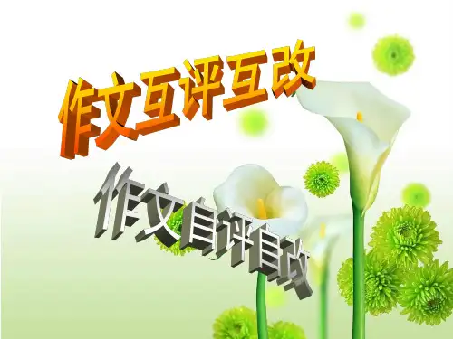 作文批阅---互评互改