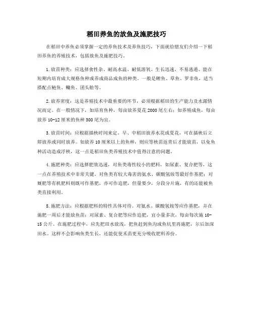 稻田养鱼的放鱼及施肥技巧