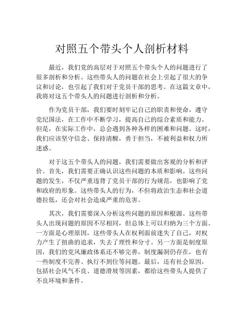 对照五个带头个人剖析材料