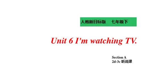 初中英语七年级下册Unit  6  I'm  watching  TV课件