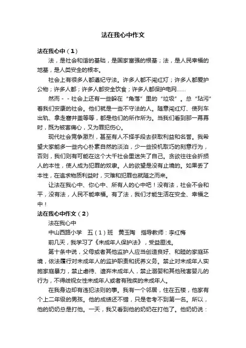 法在我心中作文