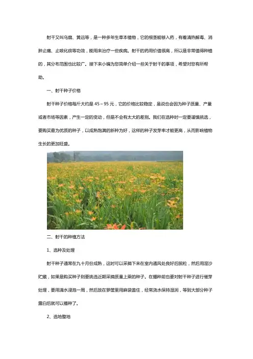 射干种子种植方法及价格