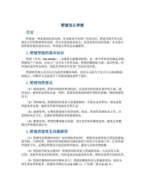 野猪怎么养殖