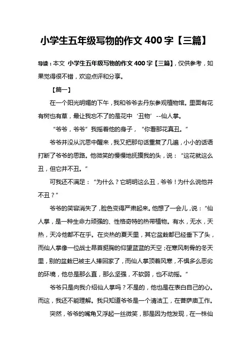 小学生五年级写物的作文400字【三篇】