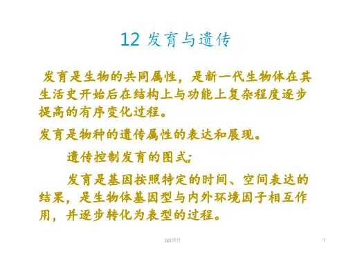 发育与遗传  ppt课件