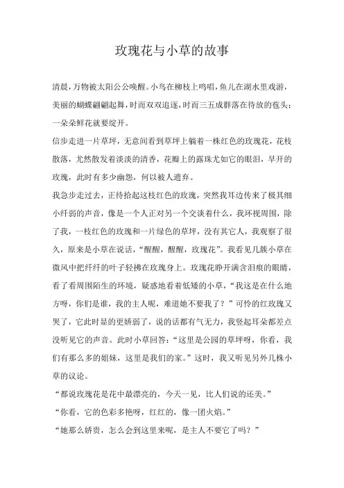 六年级童话玫瑰花与小草的故事