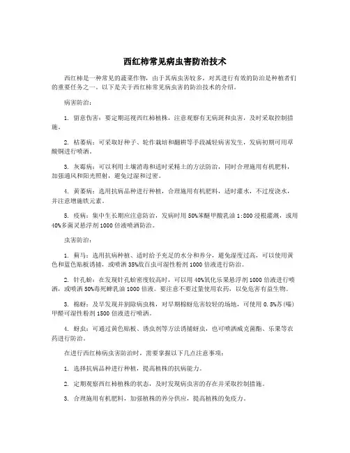 西红柿常见病虫害防治技术