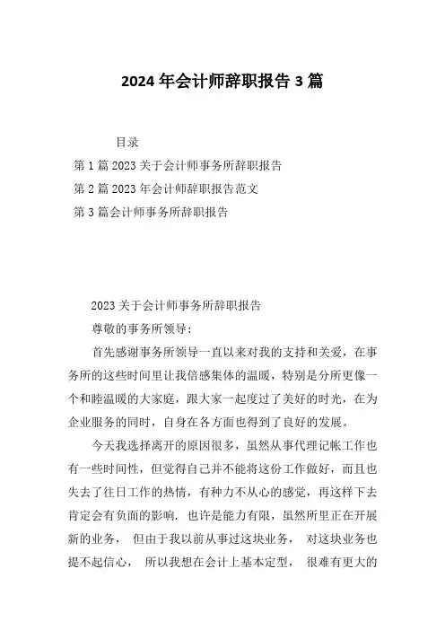 2024年会计师辞职报告3篇