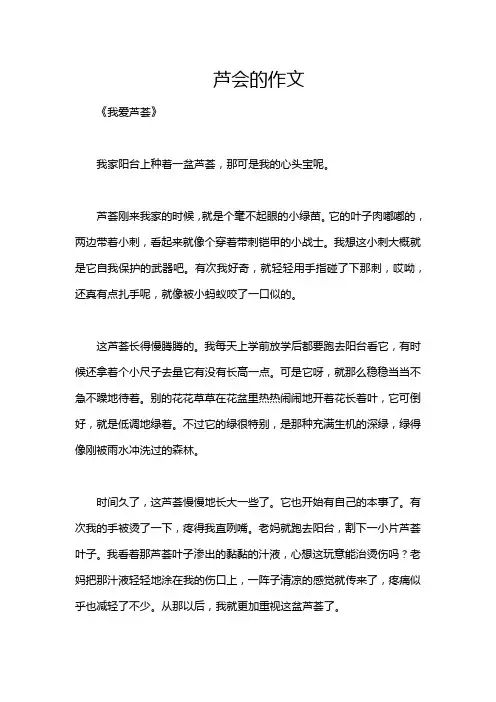 芦会的作文