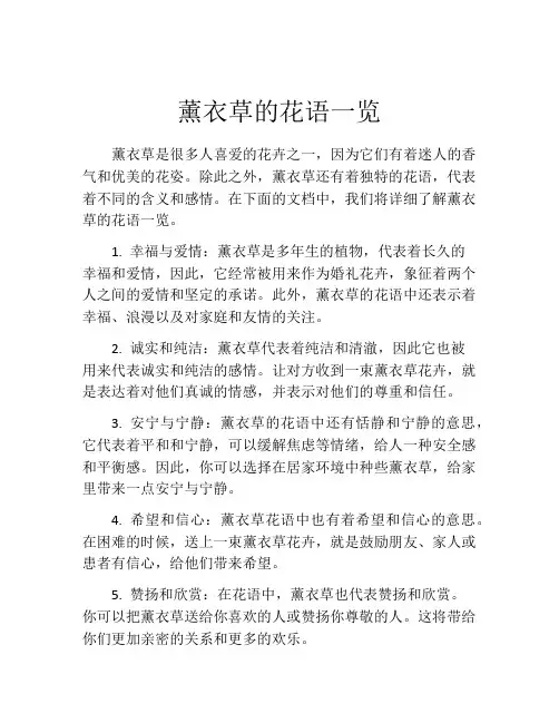 薰衣草的花语一览