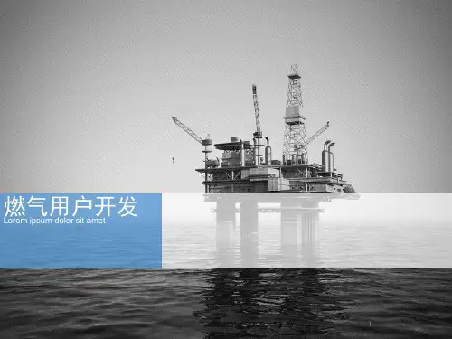 天然气市场开发ppt课件