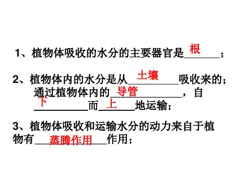 43无机盐在植物体内的代谢PPT课件