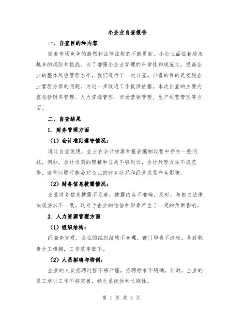 小企业自查报告