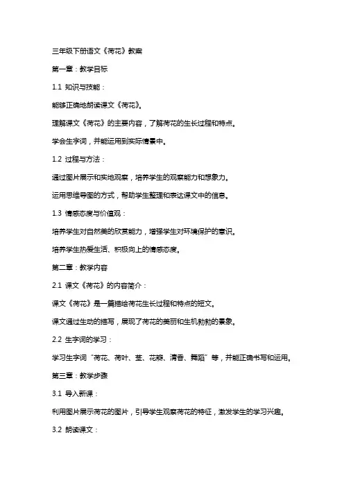 三年级下册语文荷花教案