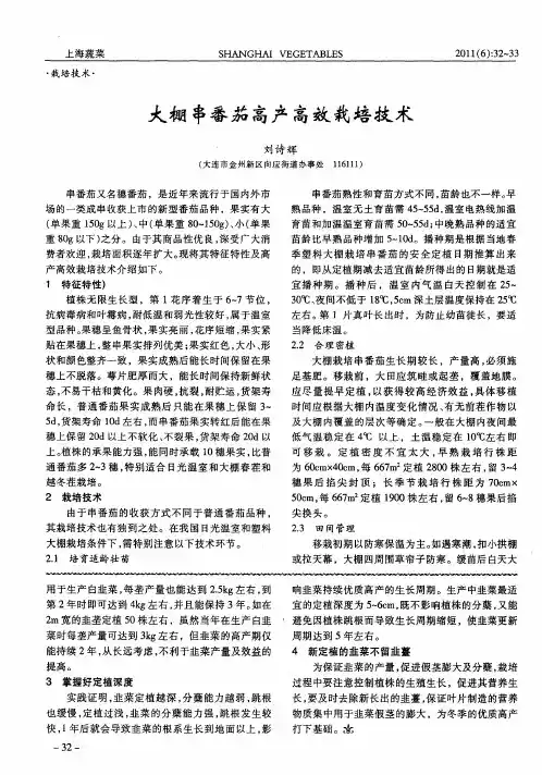 大棚串番茄高产高效栽培技术