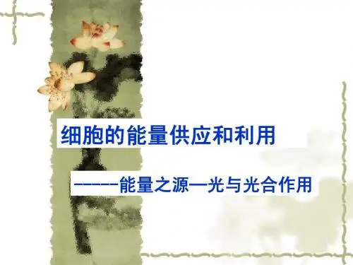 高中生物第一轮复习 光合作用