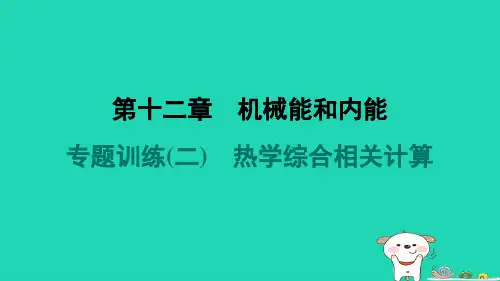 九年级物理全册第十二章机械能和内能专题训练二热学综合相关计算课件新版苏科版