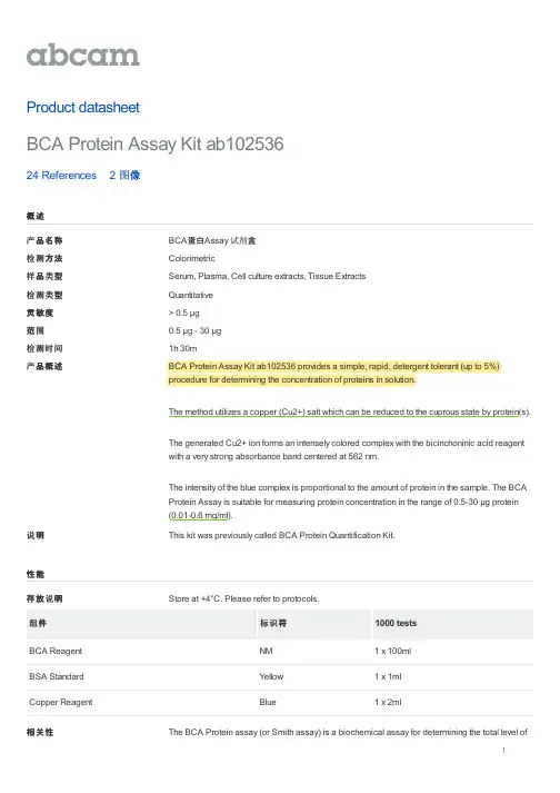 BCA蛋白Assay 试剂盒(ab102536)
