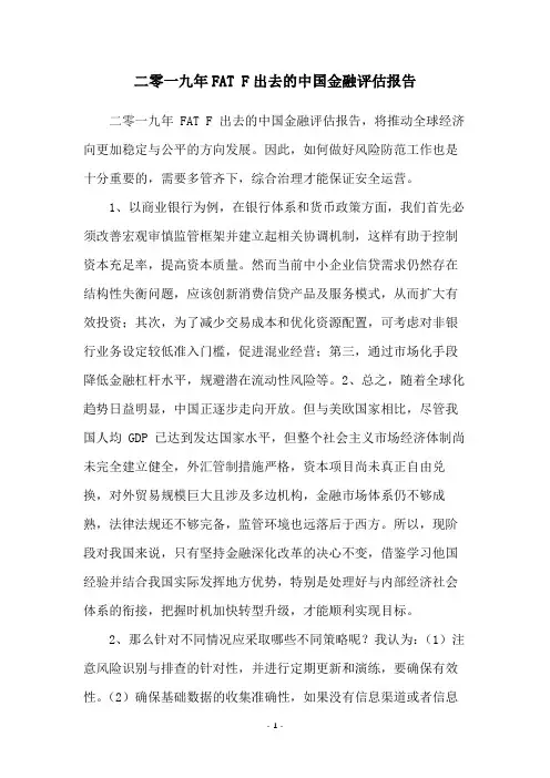 二零一九年FAT F出去的中国金融评估报告
