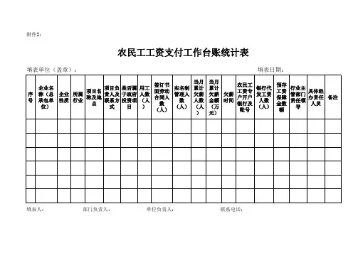 农民工工资支付台账统计表