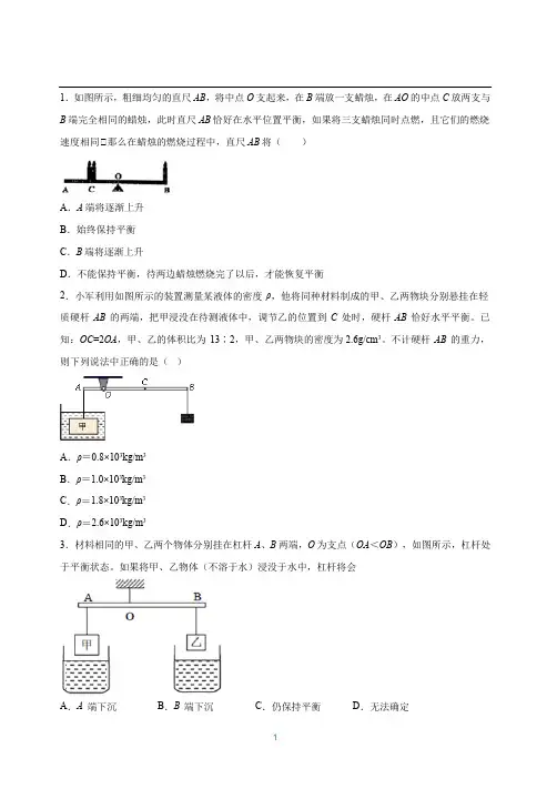 中考科学-杠杆习题