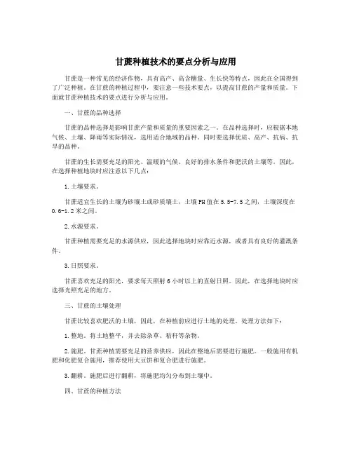 甘蔗种植技术的要点分析与应用
