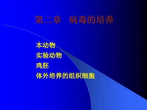 第二章   病毒的培养