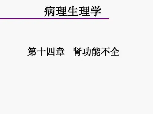 病理生理学ppt课件-第十四章--肾功能不全
