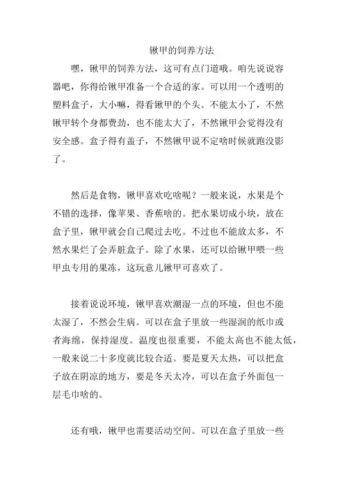 锹甲的饲养方法