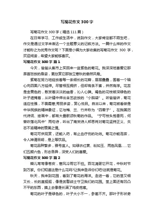 写菊花作文300字（精选111篇）