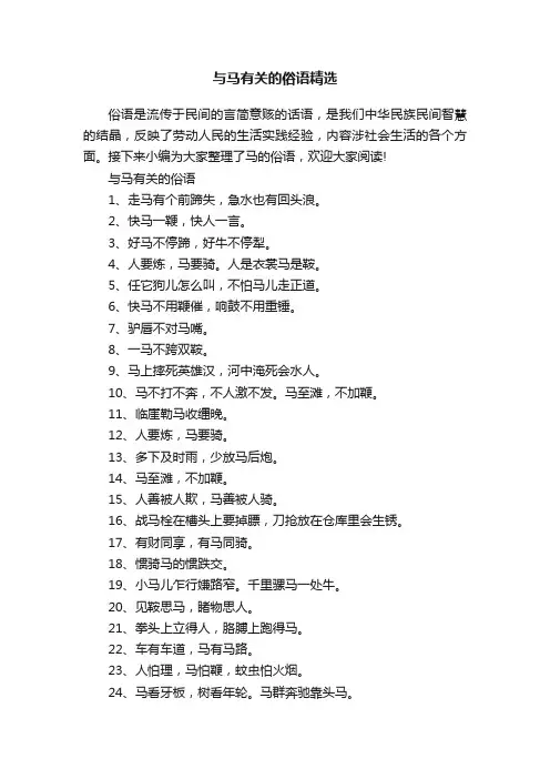 与马有关的俗语精选