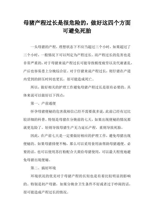 母猪产程过长是很危险，做好这四个方面可避免死胎