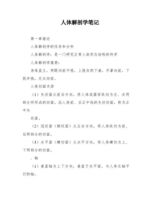人体解剖学笔记