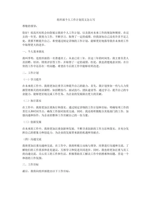 组织部个人工作计划范文怎么写