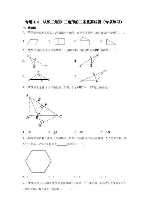 专题4.6 认识三角形-三角形的三条重要线段(专项练习)七年级数学下册基础知识专项讲练(北师大版)