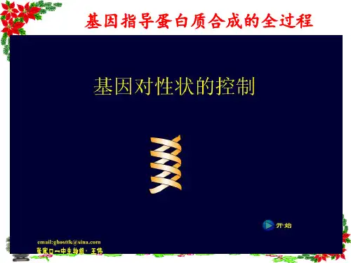 遗传信息的翻译