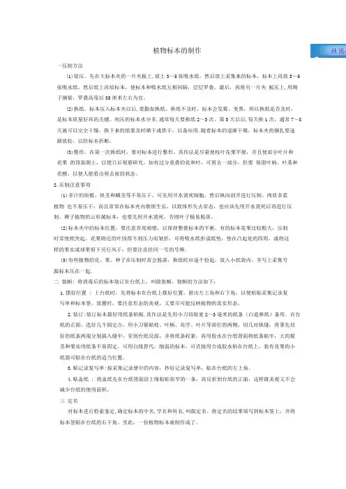 植物标本的制作