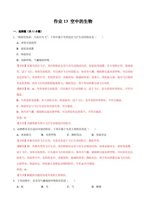 作业13 空中的生物-2021年七年级生物暑假作业(苏科版)(解析版)
