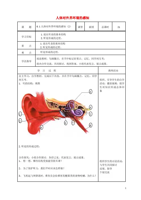 七年级生物下册 4.6.1 人体对外界环境的感知导学案(无答案)(新版)新人教版