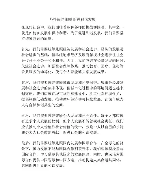 坚持统筹兼顾 促进和谐发展
