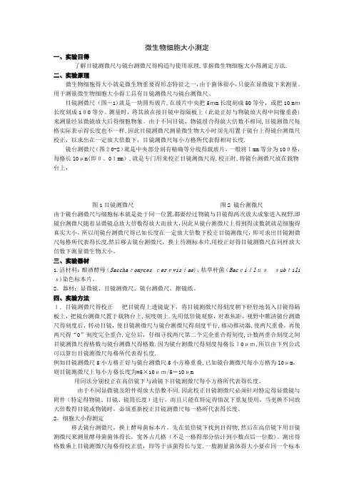 微生物细胞大小的测定方法