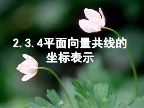 2.3.4__平面向量共线的坐标表示