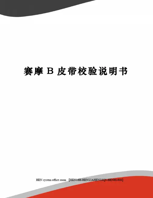 赛摩B皮带校验说明书完整版