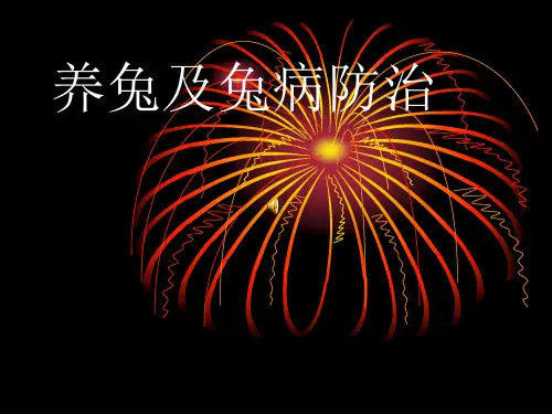 兔病防治课见