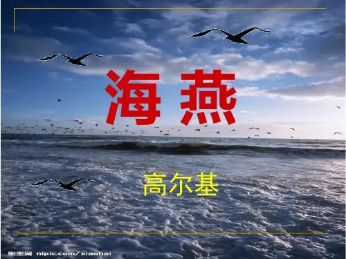 《海燕》有朗读指导版