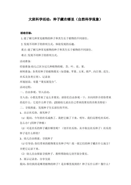 大班科学活动：种子藏在哪里