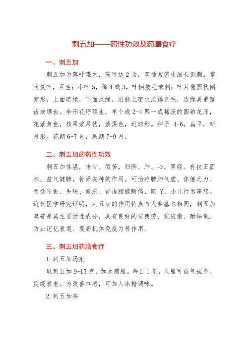 刺五加——药性功效及药膳食疗