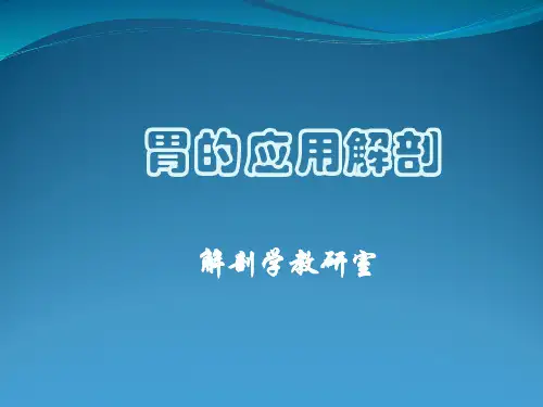 胃的应用解剖