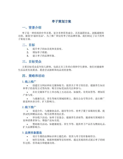 枣子策划方案
