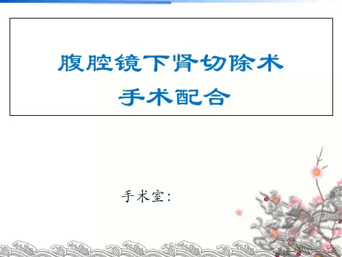 腹腔镜下肾切除术手术配合 PPT